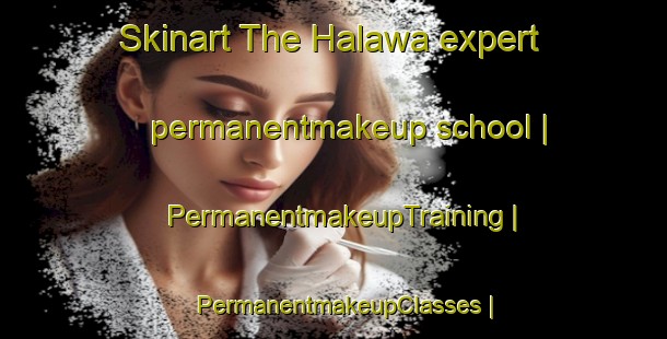 Skinart The Halawa expert permanentmakeup school | PermanentmakeupTraining | PermanentmakeupClasses | SkinartTraining-United States